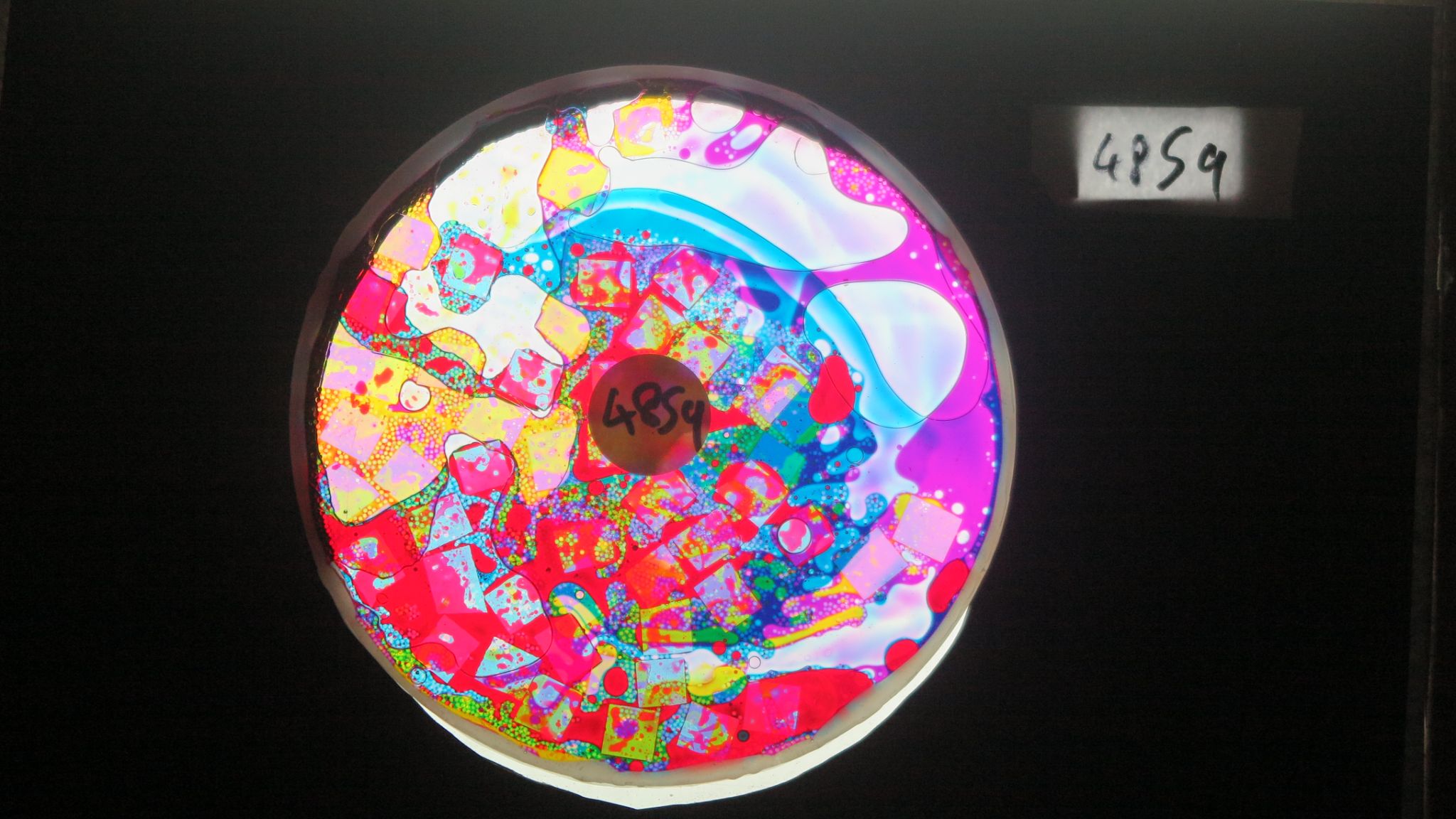 BV4859 bubble vision oil wheel